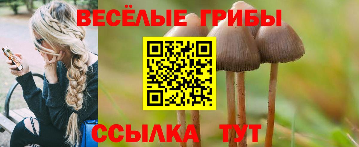 Каменка  Псилоцибиновые грибы мицелий  Вход с VPN  Галлюциногенные грибы Magic Shrooms 
